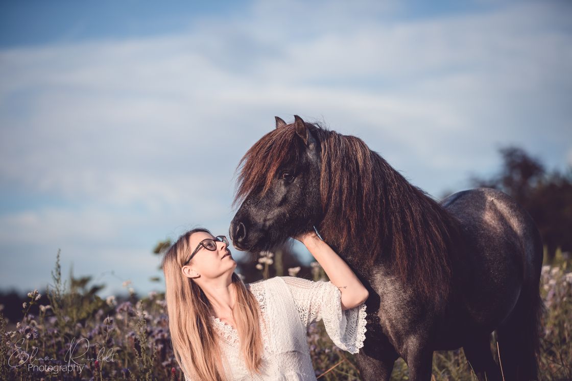 Shetty mit Besitzerin