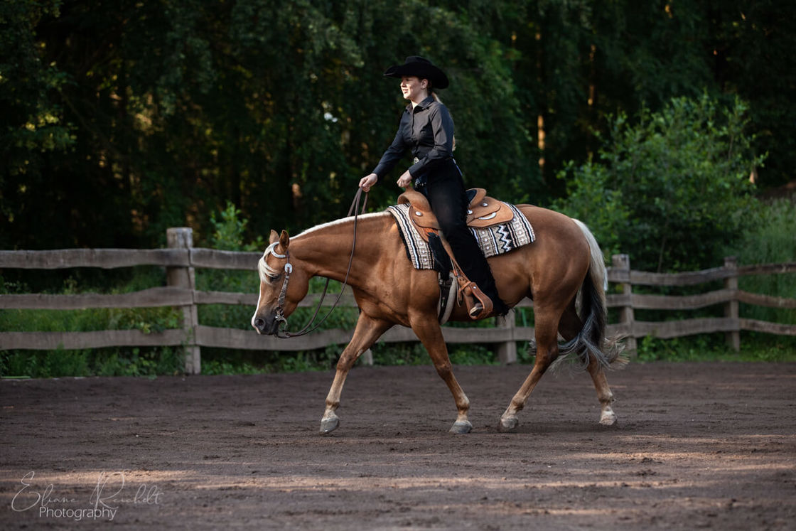 Trainings-Begleitung Westernpferd