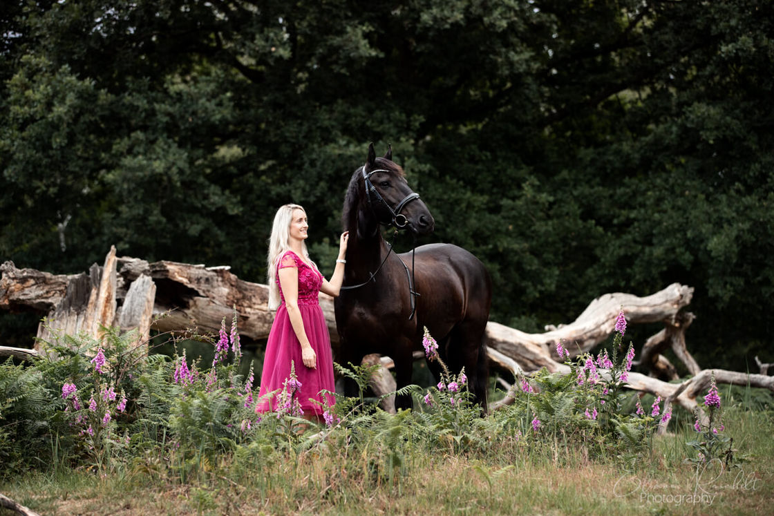 Friese in der Heide