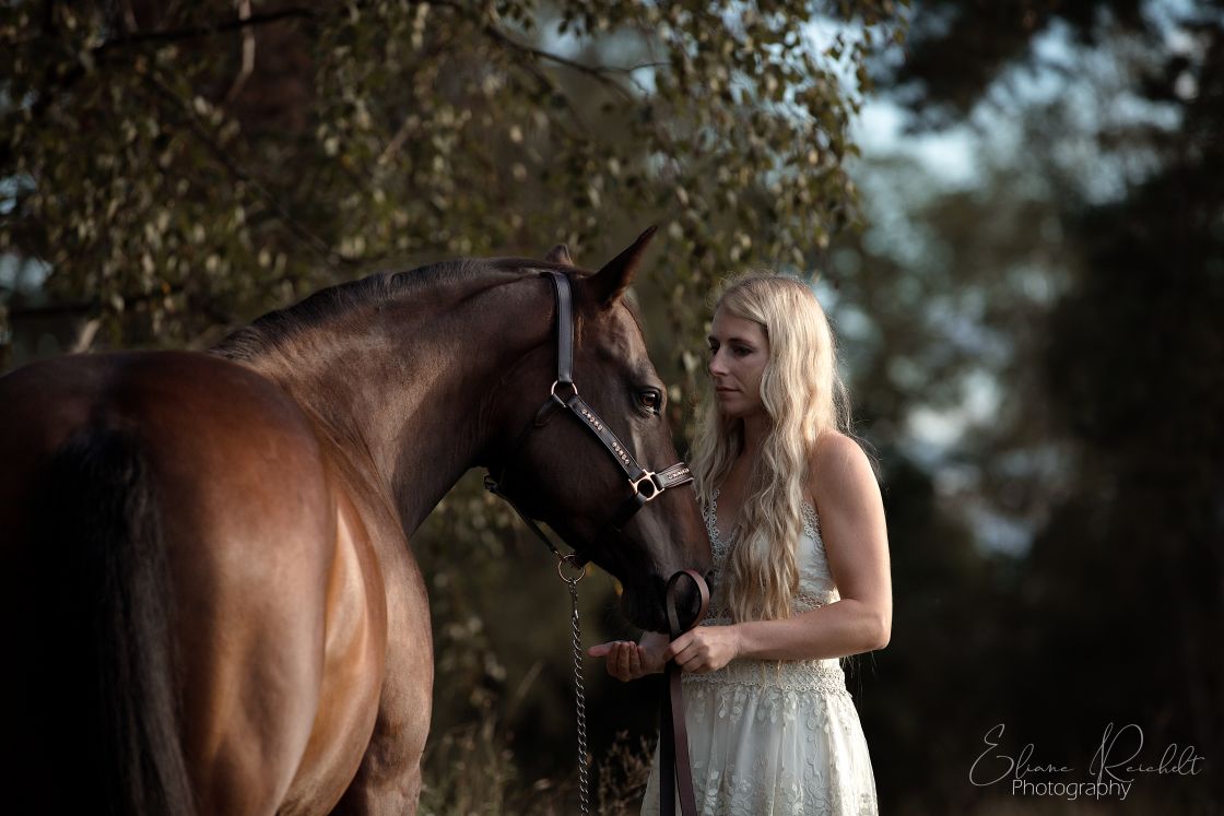 Quarter Horse und Cowgirl